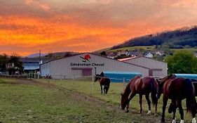Gite Ferme Equestre